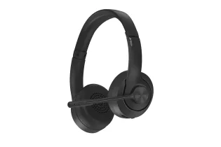 WIRELESS HEADSET( BR260 )